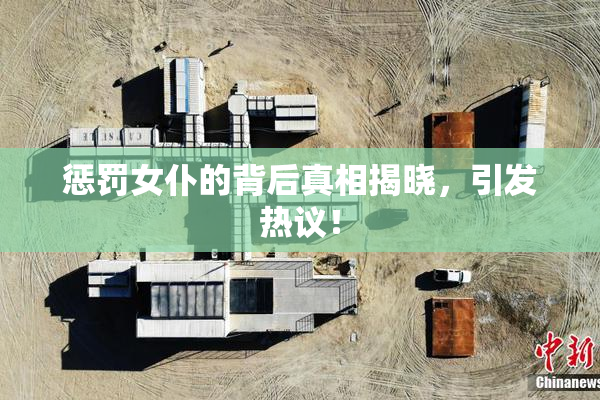惩罚女仆的背后真相揭晓，引发热议！