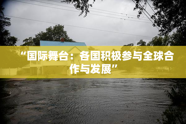 “国际舞台：各国积极参与全球合作与发展”
