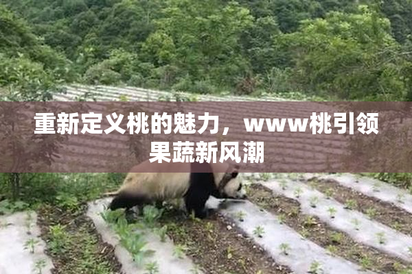重新定义桃的魅力，www桃引领果蔬新风潮