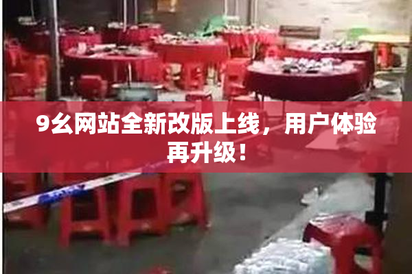 9幺网站全新改版上线，用户体验再升级！