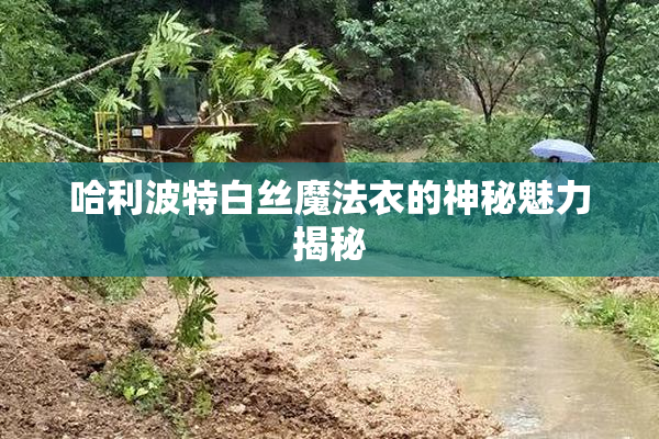 哈利波特白丝魔法衣的神秘魅力揭秘