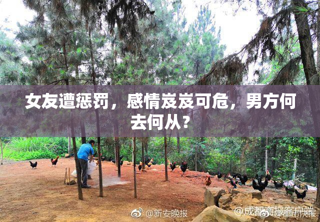 女友遭惩罚，感情岌岌可危，男方何去何从？