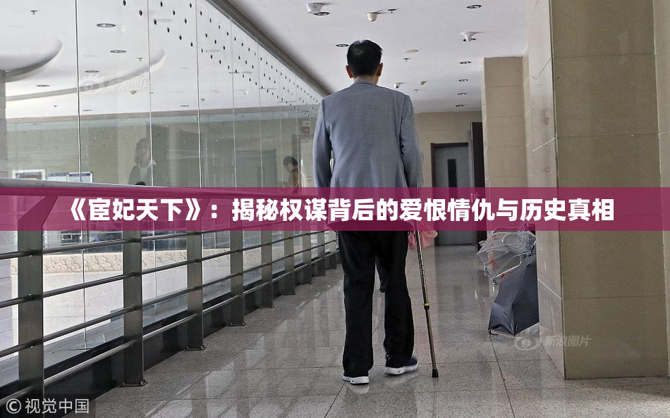 《宦妃天下》：揭秘权谋背后的爱恨情仇与历史真相
