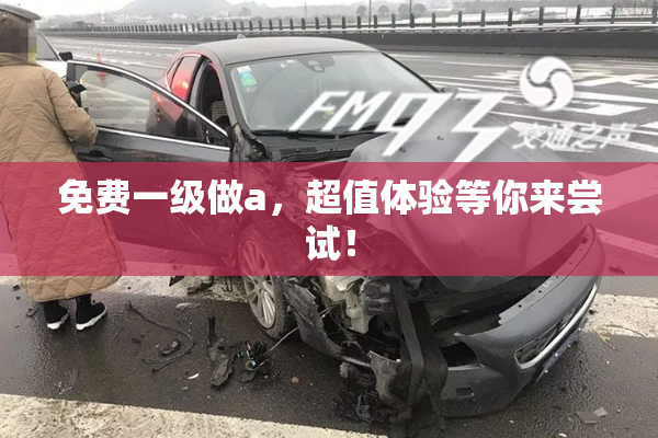 免费一级做a，超值体验等你来尝试！
