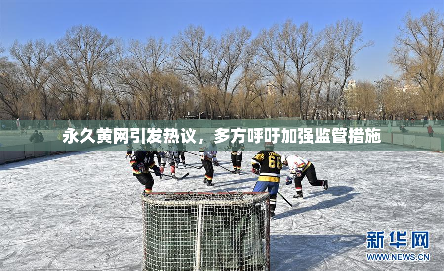 永久黄网引发热议，多方呼吁加强监管措施