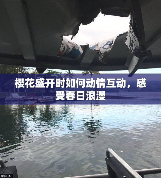 樱花盛开时如何动情互动，感受春日浪漫