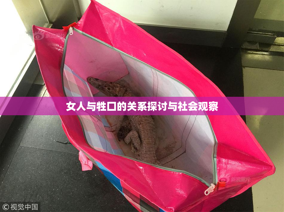 女人与牲囗的关系探讨与社会观察