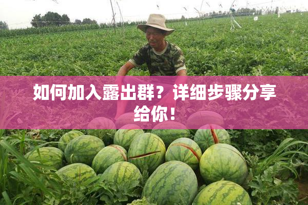 如何加入露出群？详细步骤分享给你！