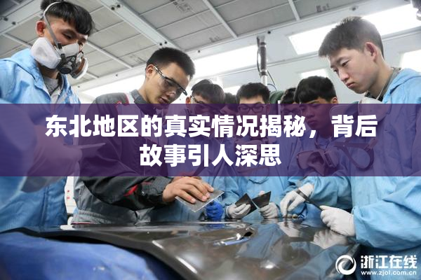 东北地区的真实情况揭秘，背后故事引人深思