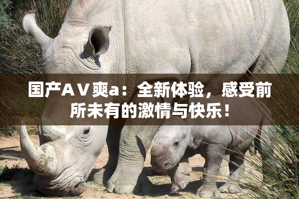 国产AⅤ爽a：全新体验，感受前所未有的激情与快乐！