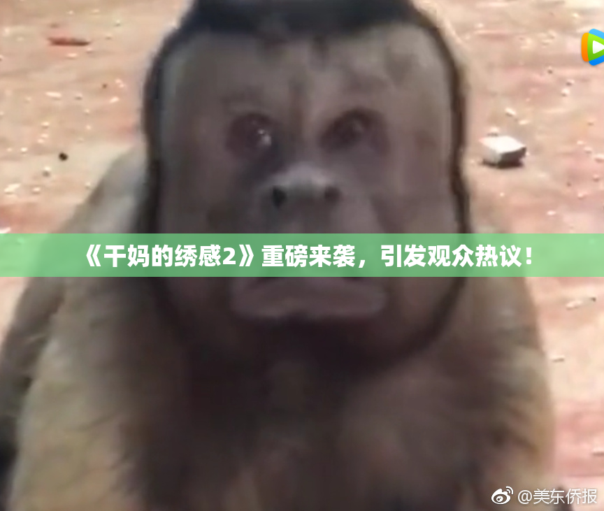 《干妈的绣感2》重磅来袭，引发观众热议！