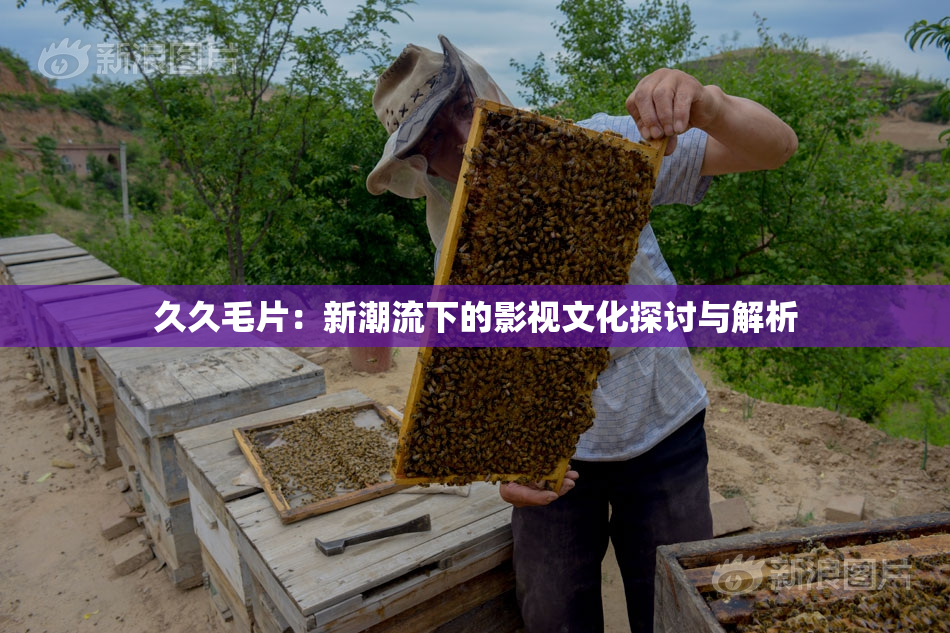 久久毛片：新潮流下的影视文化探讨与解析
