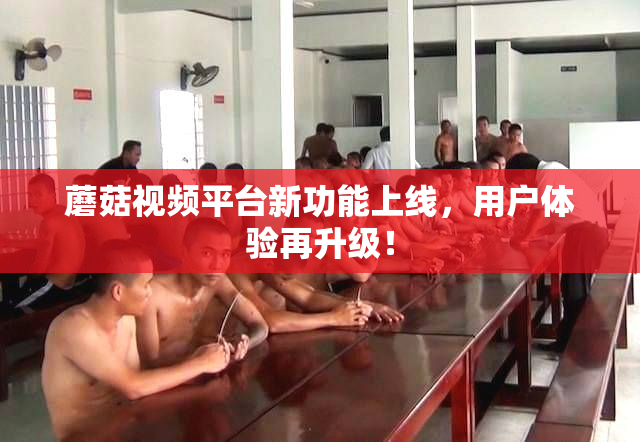 蘑菇视频平台新功能上线，用户体验再升级！