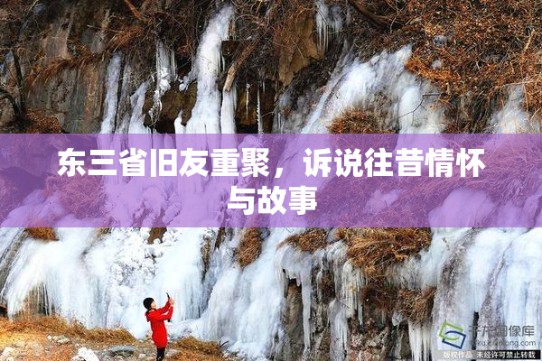 东三省旧友重聚，诉说往昔情怀与故事
