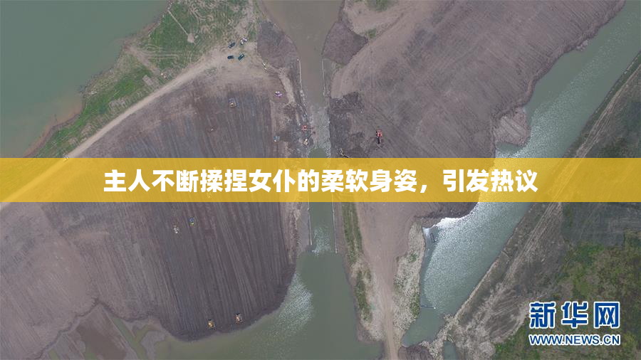 主人不断揉捏女仆的柔软身姿，引发热议