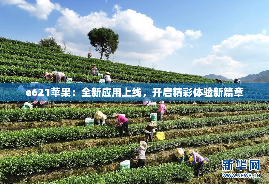 e621苹果：全新应用上线，开启精彩体验新篇章