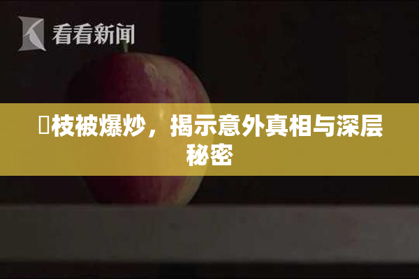 狛枝被爆炒，揭示意外真相与深层秘密
