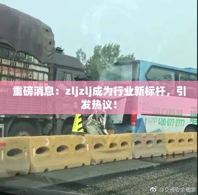 重磅消息：zljzlj成为行业新标杆，引发热议！
