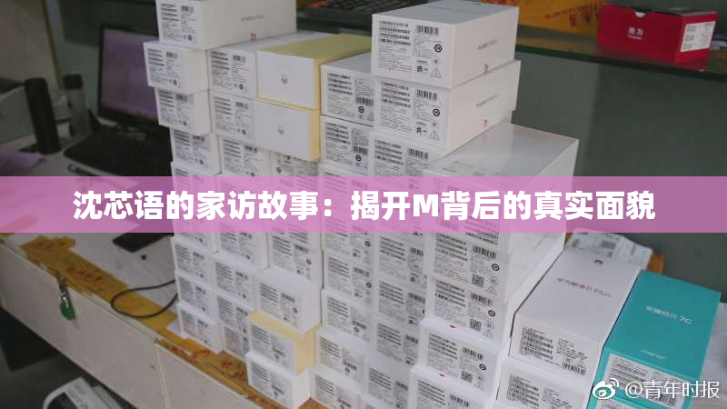 沈芯语的家访故事：揭开M背后的真实面貌