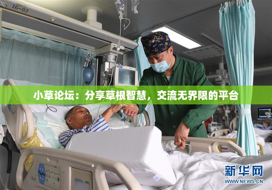 小草论坛：分享草根智慧，交流无界限的平台