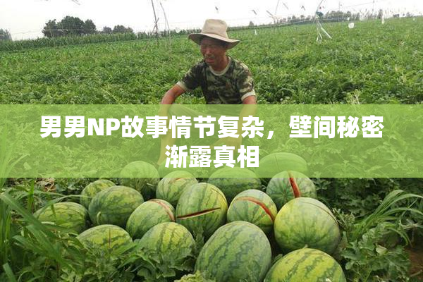 男男NP故事情节复杂，壁间秘密渐露真相