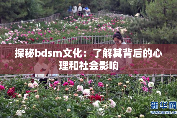 探秘bdsm文化：了解其背后的心理和社会影响