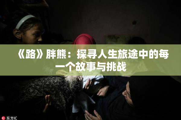 《路》胖熊：探寻人生旅途中的每一个故事与挑战