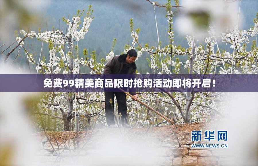 免费99精美商品限时抢购活动即将开启！