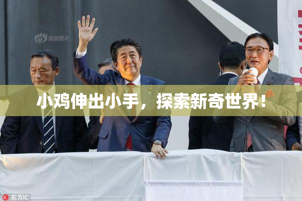 小鸡伸出小手，探索新奇世界！