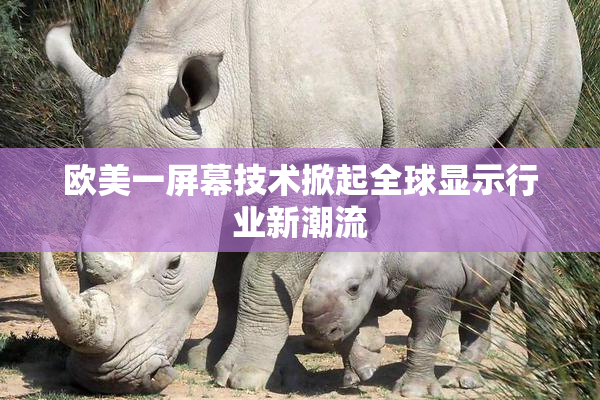 欧美一屏幕技术掀起全球显示行业新潮流