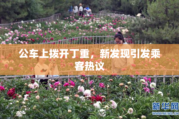 公车上拨开丁重，新发现引发乘客热议