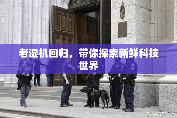 老湿机回归，带你探索新鲜科技世界