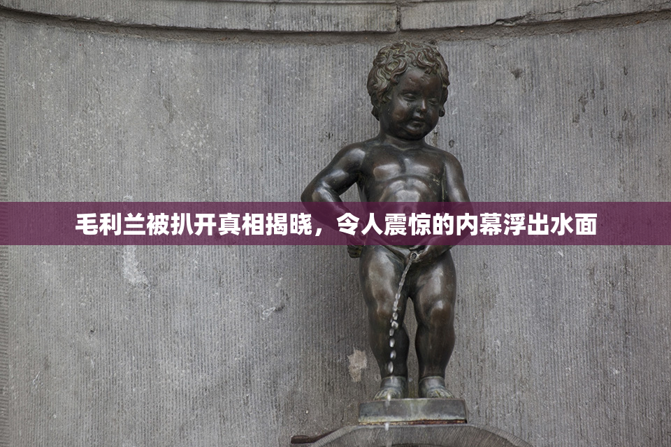 毛利兰被扒开真相揭晓，令人震惊的内幕浮出水面
