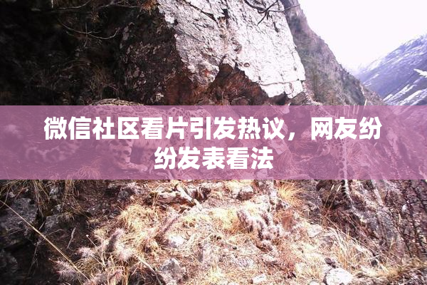 微信社区看片引发热议，网友纷纷发表看法
