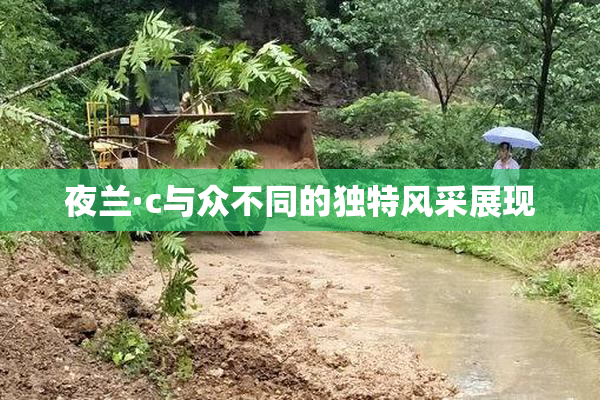 夜兰·c与众不同的独特风采展现