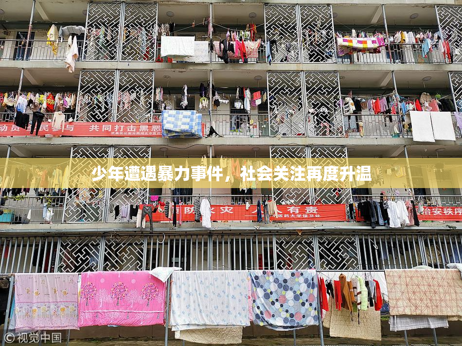 少年遭遇暴力事件，社会关注再度升温