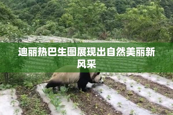 迪丽热巴生图展现出自然美丽新风采