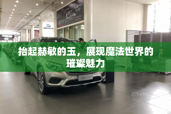 抬起赫敏的玉，展现魔法世界的璀璨魅力