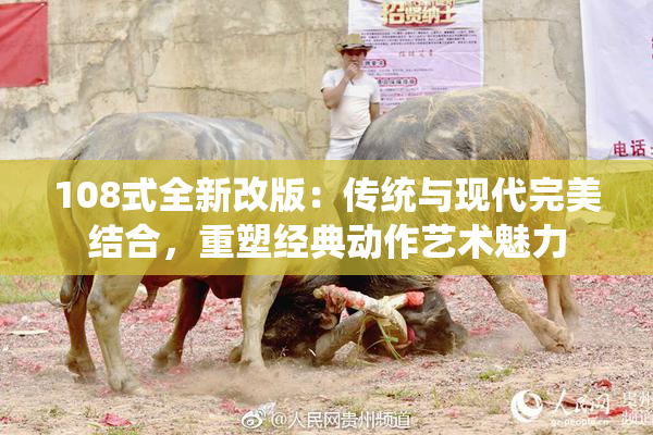 108式全新改版：传统与现代完美结合，重塑经典动作艺术魅力