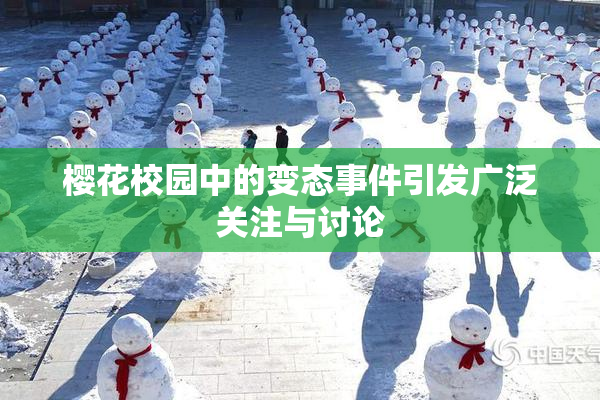 樱花校园中的变态事件引发广泛关注与讨论