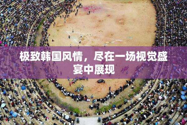 极致韩国风情，尽在一场视觉盛宴中展现