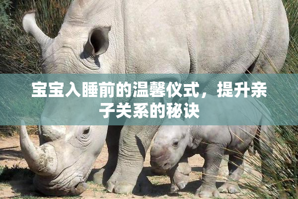 宝宝入睡前的温馨仪式，提升亲子关系的秘诀