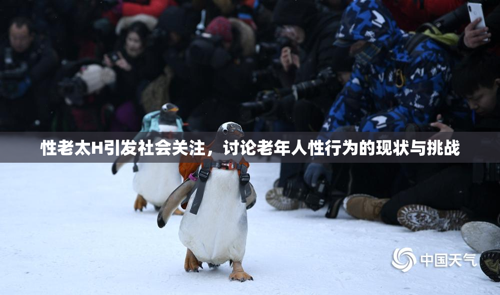 性老太H引发社会关注，讨论老年人性行为的现状与挑战