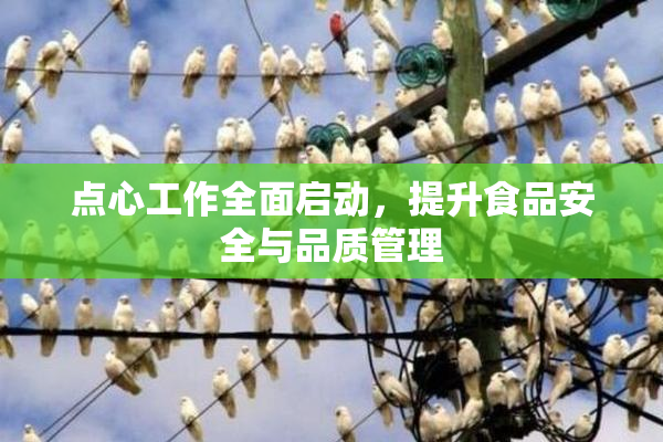 点心工作全面启动，提升食品安全与品质管理