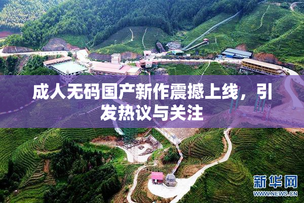 成人无码国产新作震撼上线，引发热议与关注
