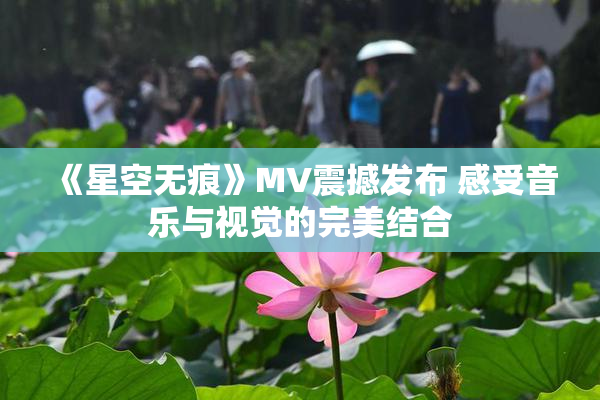 《星空无痕》MV震撼发布 感受音乐与视觉的完美结合