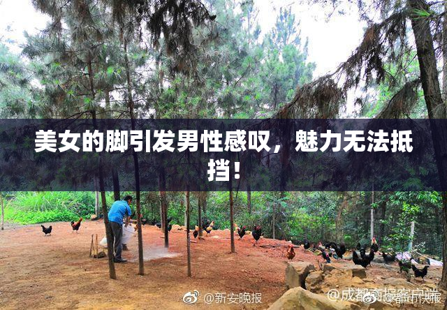 美女的脚引发男性感叹，魅力无法抵挡！