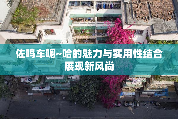 佐鸣车嗯~哈的魅力与实用性结合展现新风尚