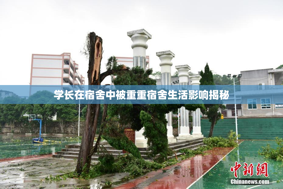 学长在宿舍中被重重宿舍生活影响揭秘