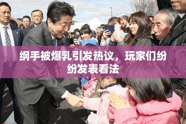 纲手被爆乳引发热议，玩家们纷纷发表看法